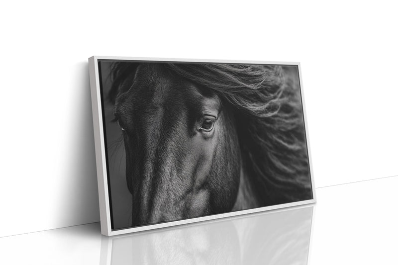 Window to the Wild Soul