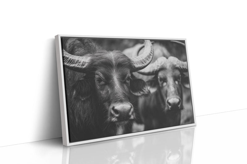 Guardians of the Pasture