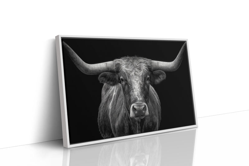 The Monarch of Texas