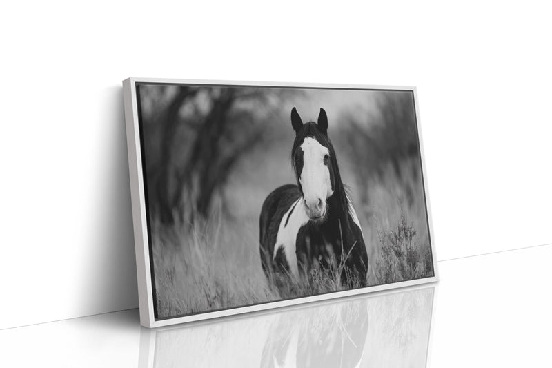 Wild Hearts Run Free