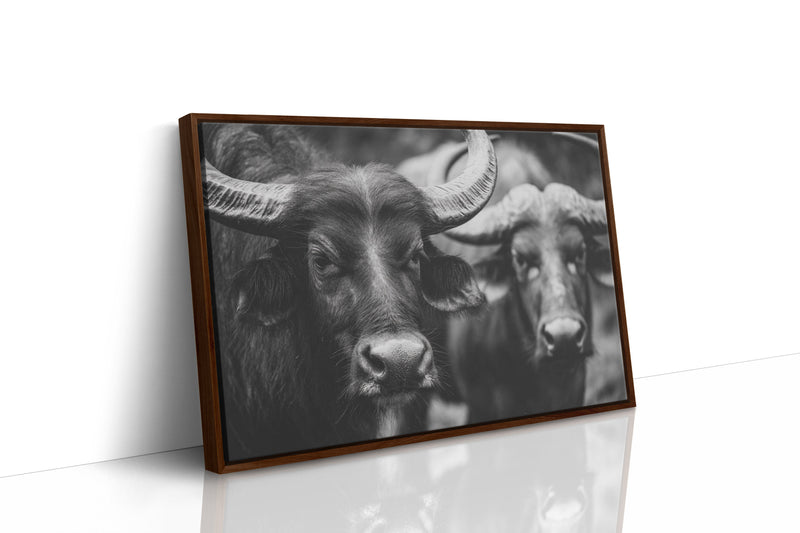 Guardians of the Pasture