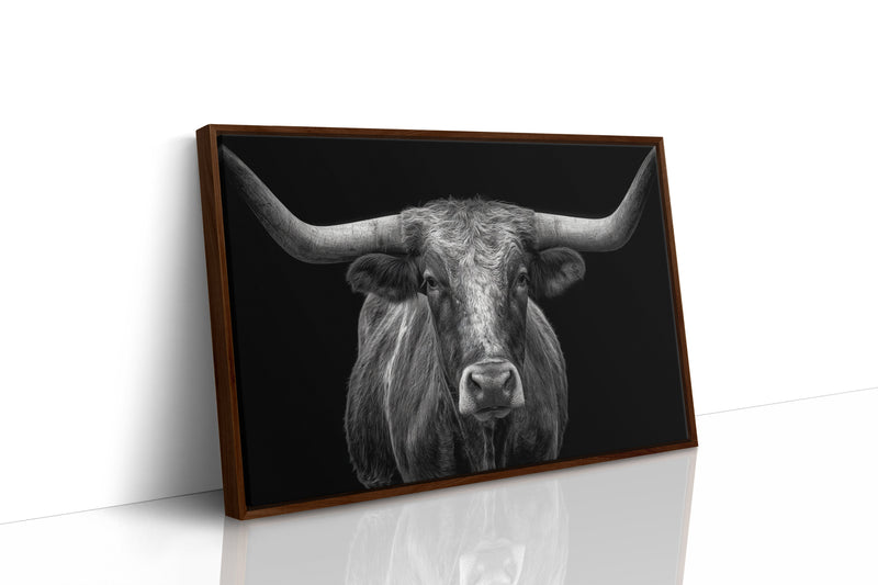 The Monarch of Texas