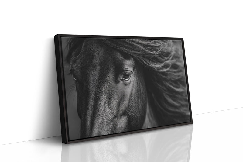 Window to the Wild Soul