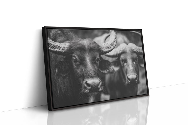 Guardians of the Pasture