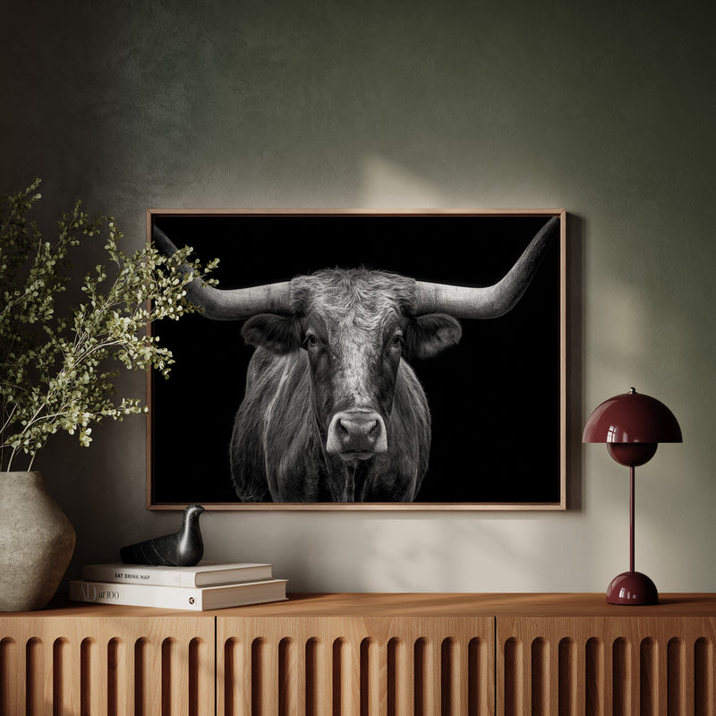 The Monarch of Texas