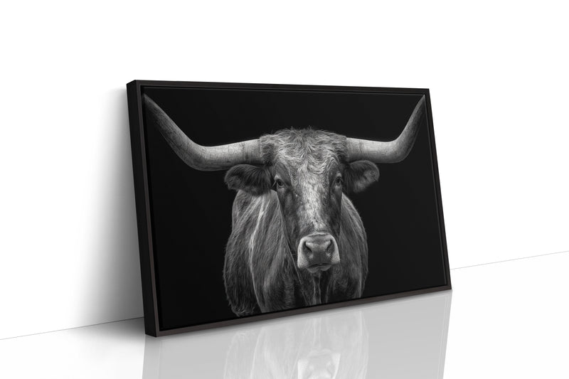 The Monarch of Texas