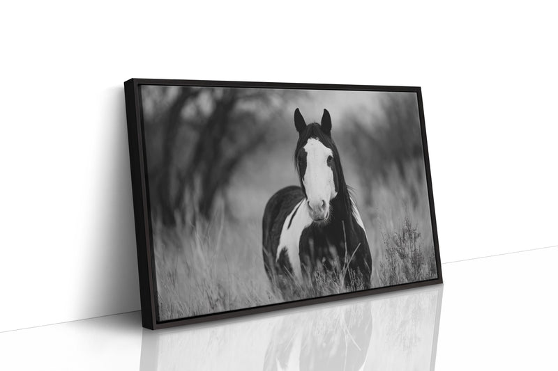 Wild Hearts Run Free