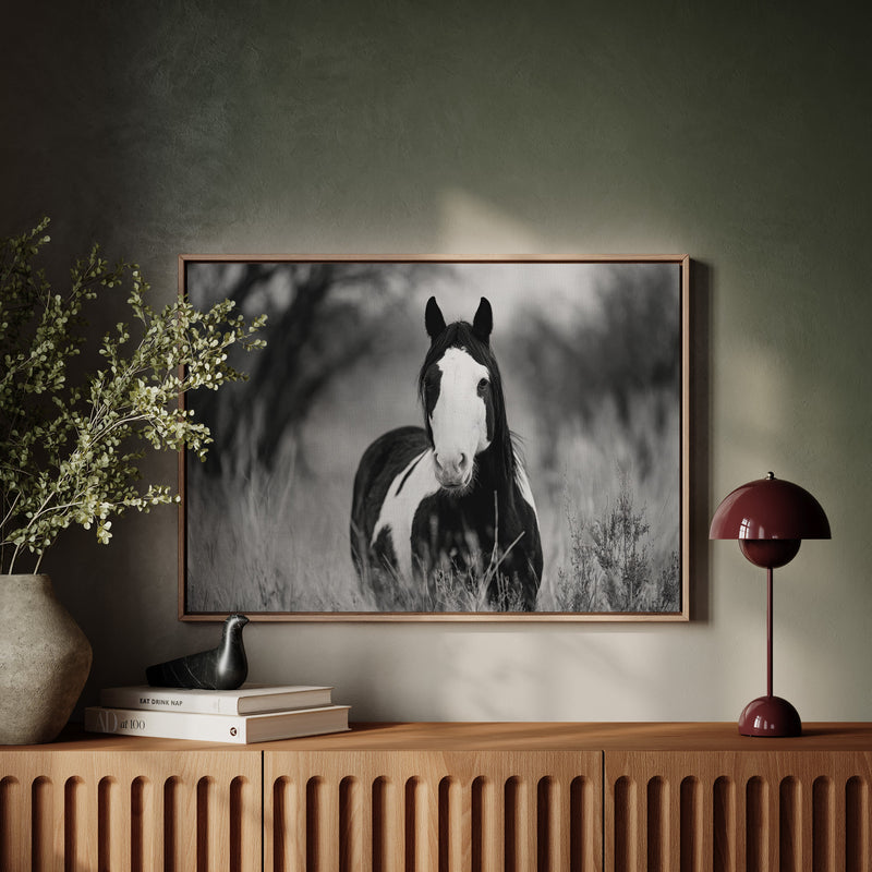 Wild Hearts Run Free