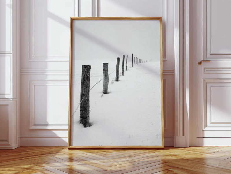 Where Fences Meet Forever