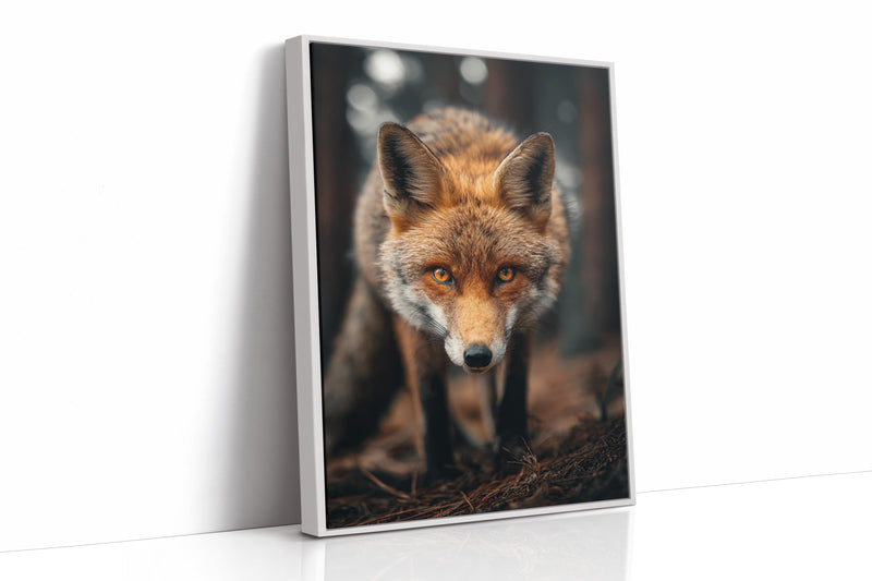 The Watcher Beneath Ancient Pines