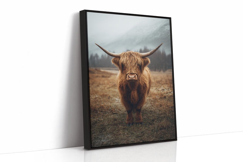 Guardian of the Highland Meadow