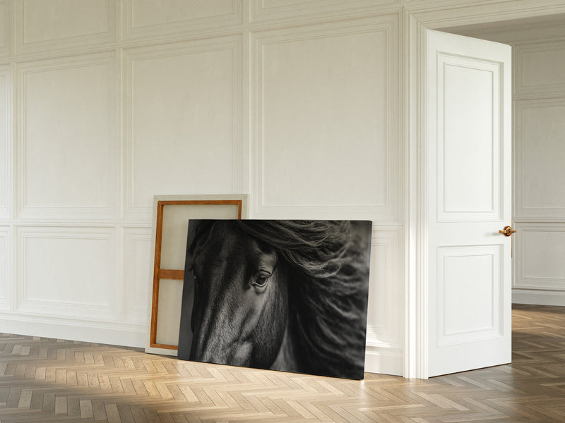 Window to the Wild Soul