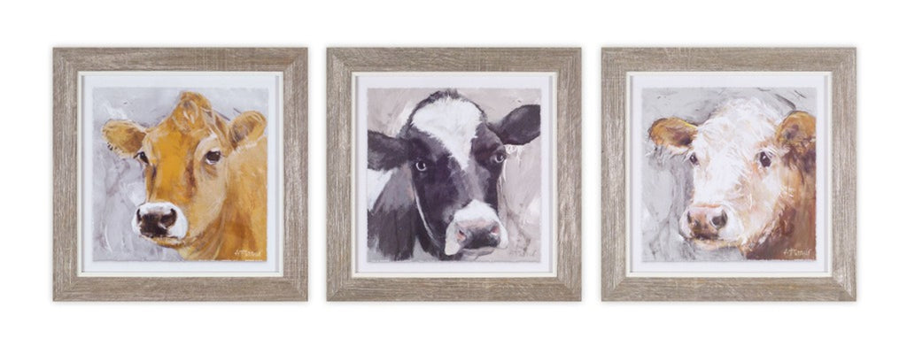 Framed Cow Prints (Set of 3)