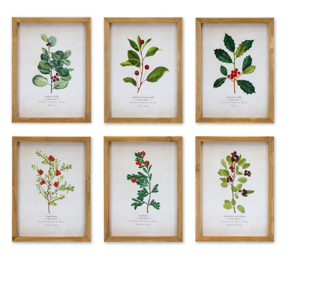 Framed Winter Foliage Prints (Set of 6)