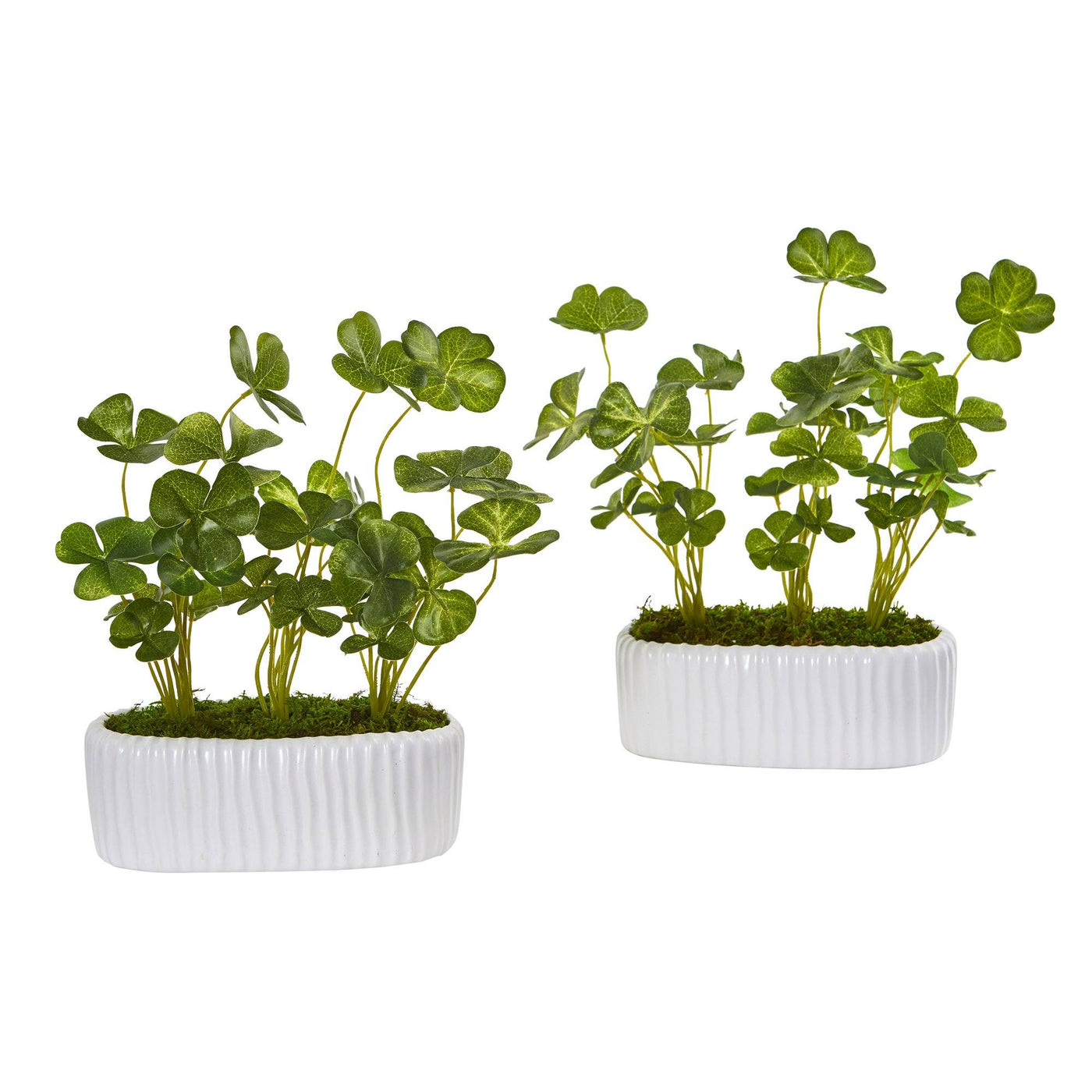 clover plant indoor 10” Clover Artificial Plant in White Planter (Set of 2) – Rustics for Less