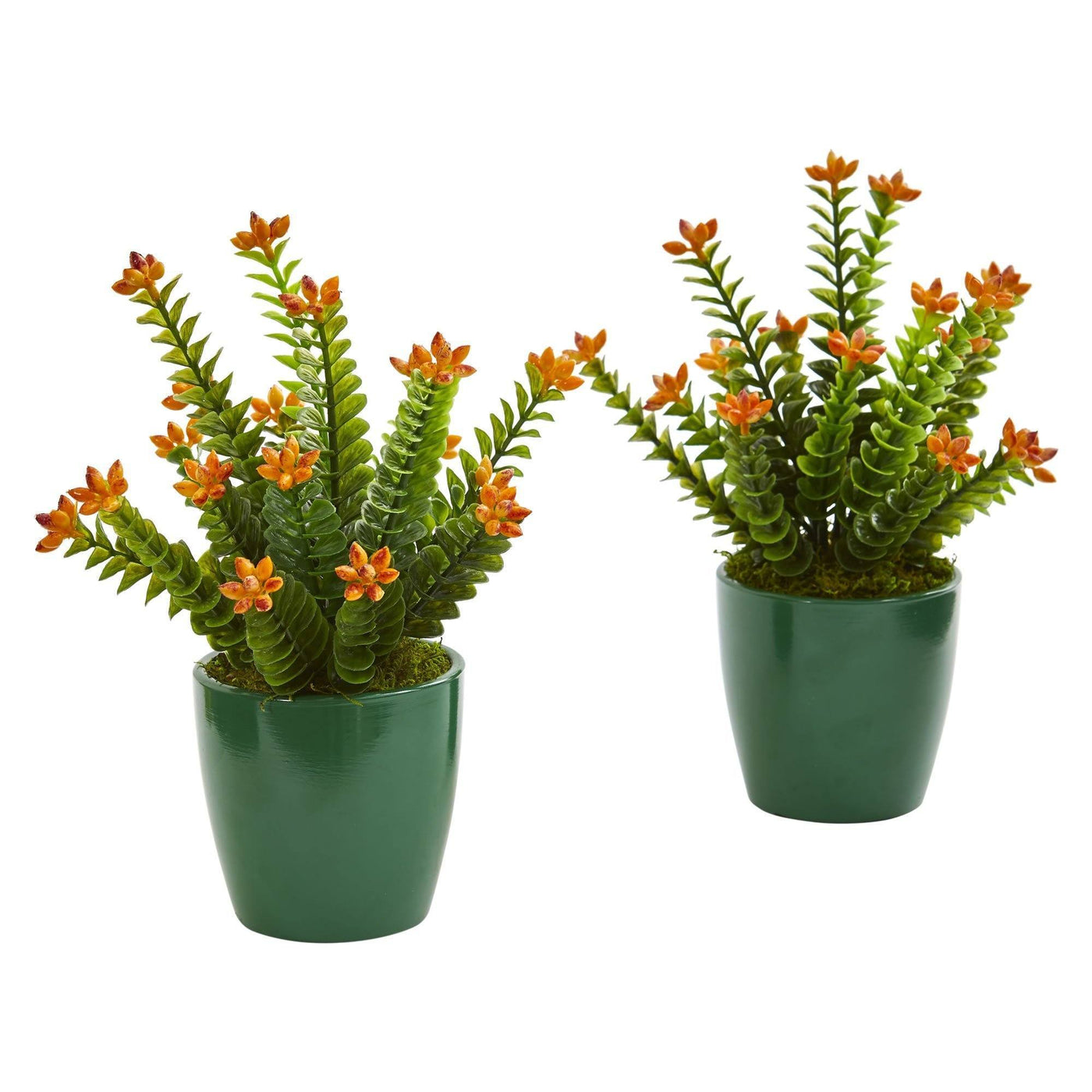 10 succulent planter 10" Sedum Succulent Artificial Plant in Green Planter (Set of 2)" – Rustics for Less