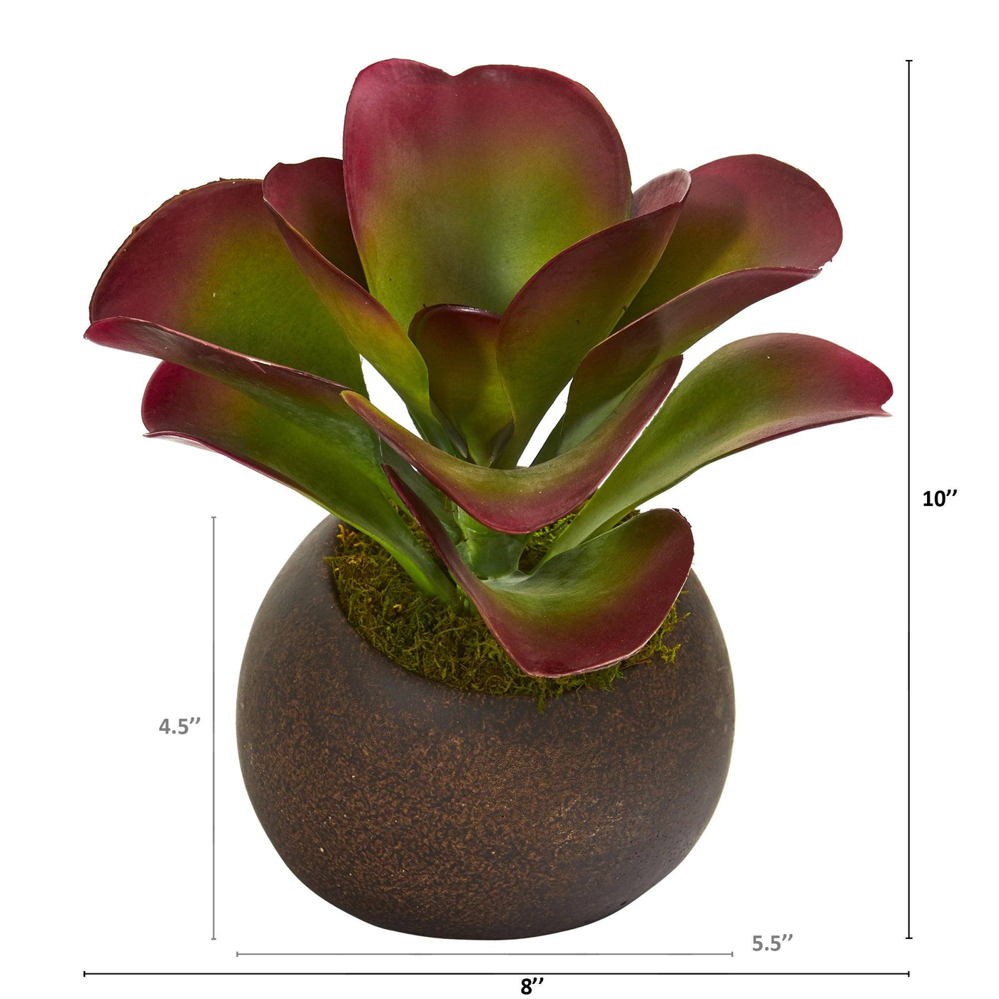 fake plant succulent 10” Succulent Artificial Plant in Stone Planter – Rustics for Less