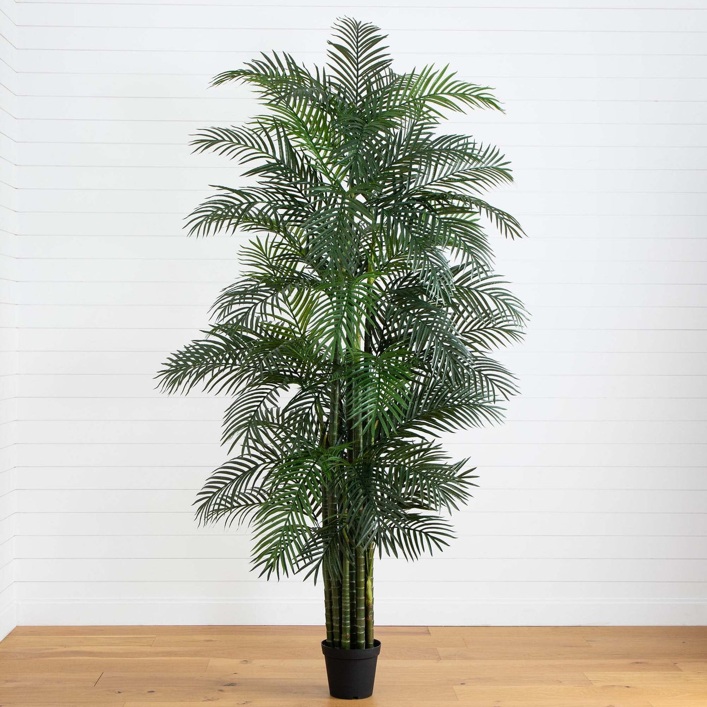 can i put my areca palm outside 10' UV Resistant Artificial Areca Palm Tree (Indoor/Outdoor)