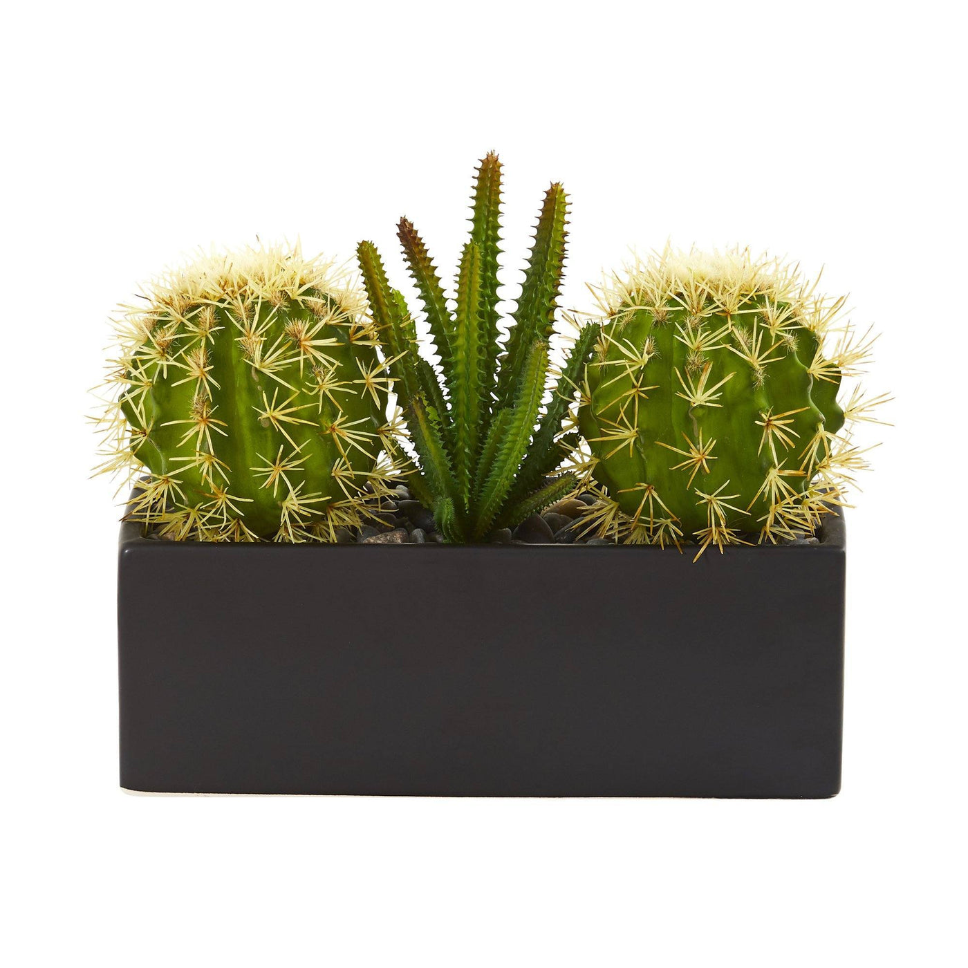 fake cactus succulent 11” Cactus Succulent Artificial Plant in Black Planter – Rustics for Less