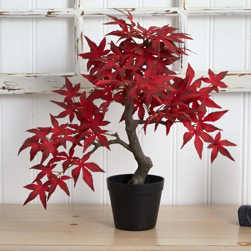 20” Autumn Maple Bonsai by Nearly Natural
