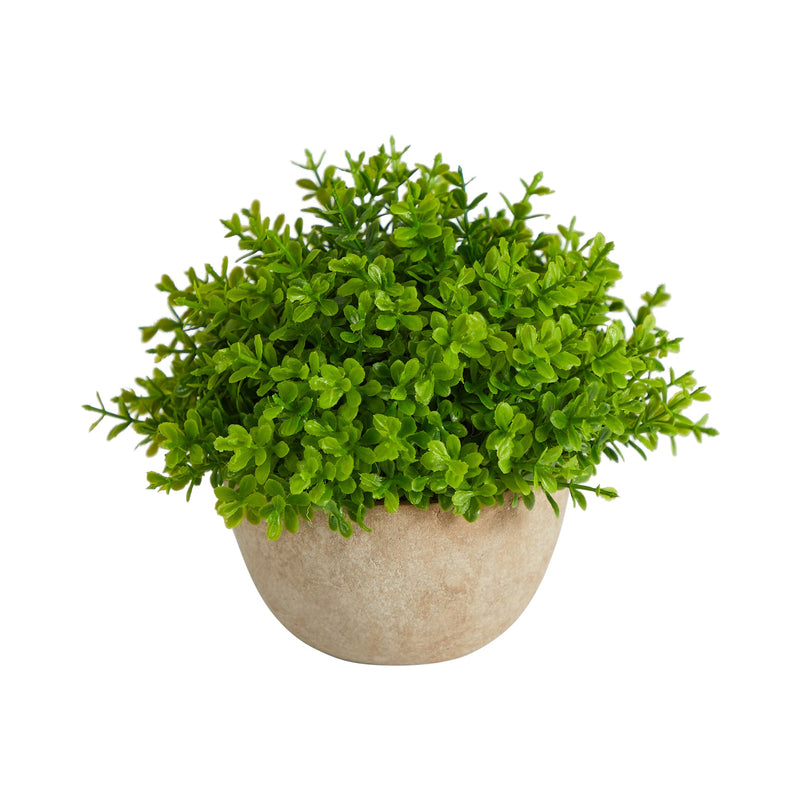 5” Boxwood Artificial Plant in Decorative Planter by Nearly Natural