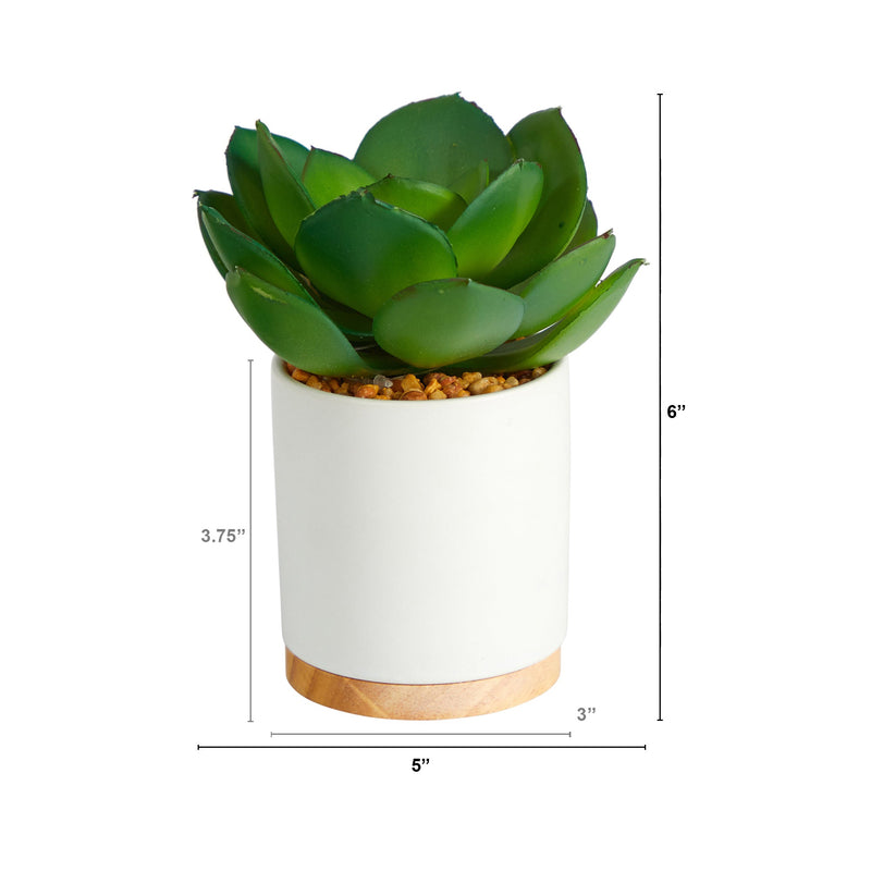 6” Succulent Artificial Plant in White Ceramic Planter by Nearly Natural
