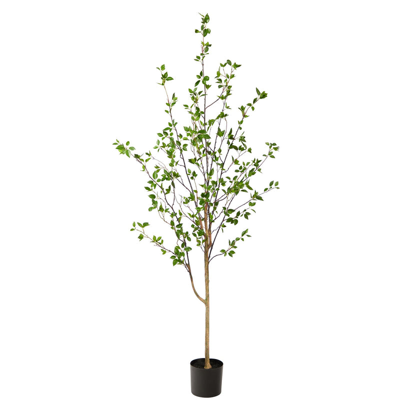 6.5' Minimalist Citrus Tree by Nearly Natural
