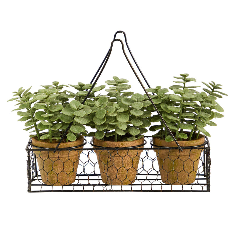 7” Mini Jade Garden Artificial Plant in Hanging Planter by Nearly Natural