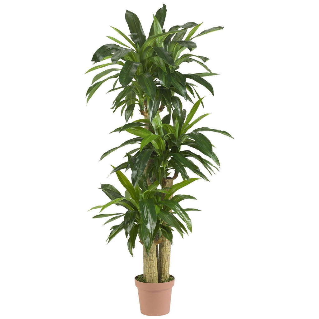Corn Stalk Dracaena Silk Plant (Real Touch) by Nearly Natural