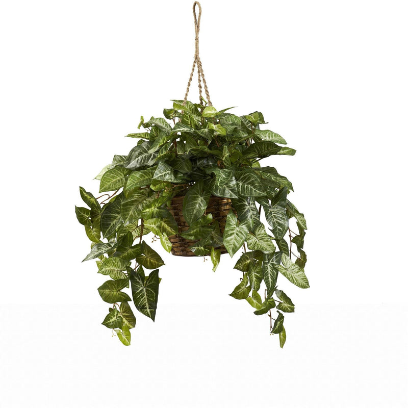Nepthytis Hanging Basket by Nearly Natural