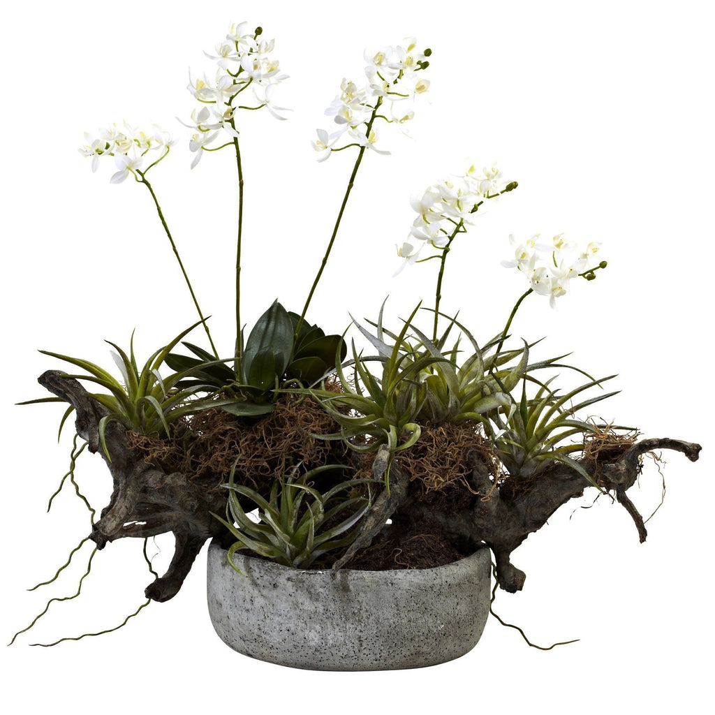Orchid & Succulent Garden w/Driftwood & Decorative Vase by Nearly Natural