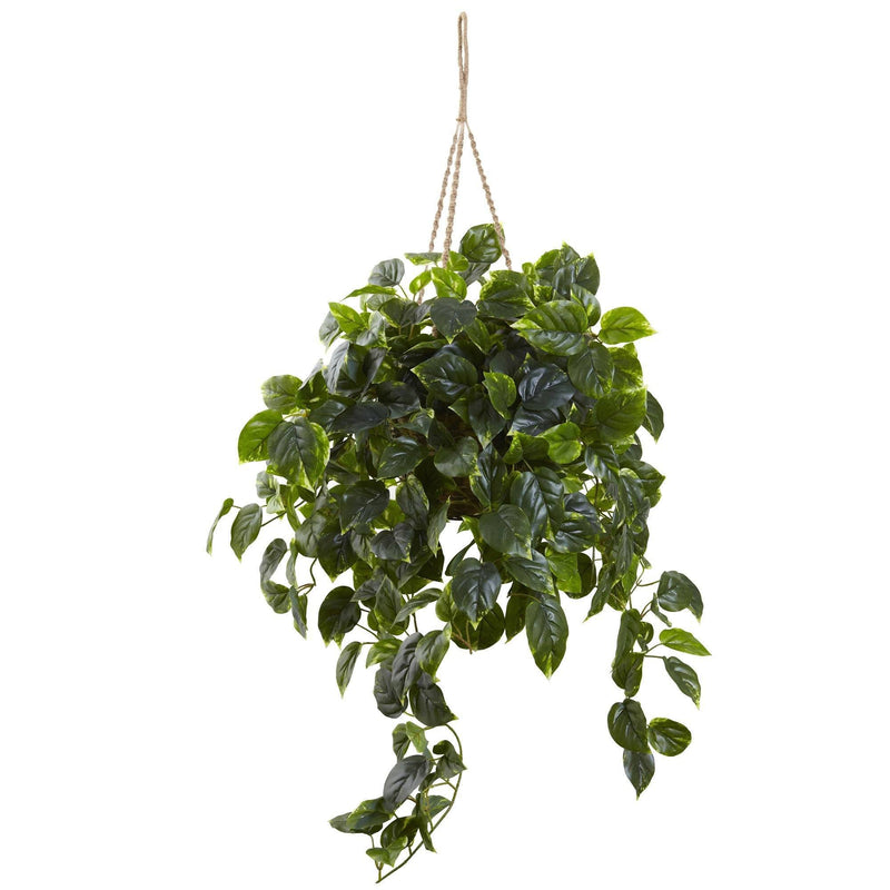 Pothos Hanging Basket UV Resistant (Indoor/Outdoor) by Nearly Natural