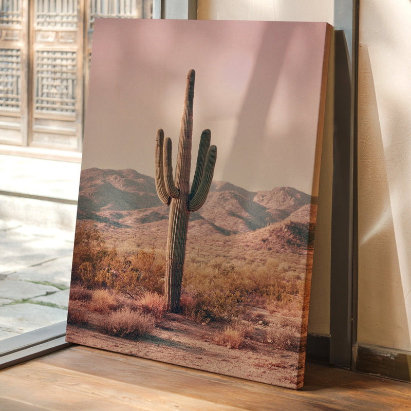 Beneath the Endless Desert Sky