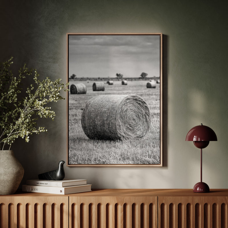 Harvested Echoes of Summer