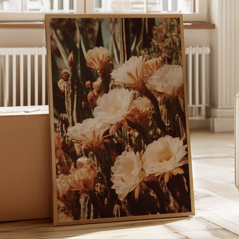 Eloquent Blooms Beneath the Sun