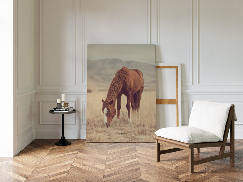 The Last Bite of Sunlit Grass