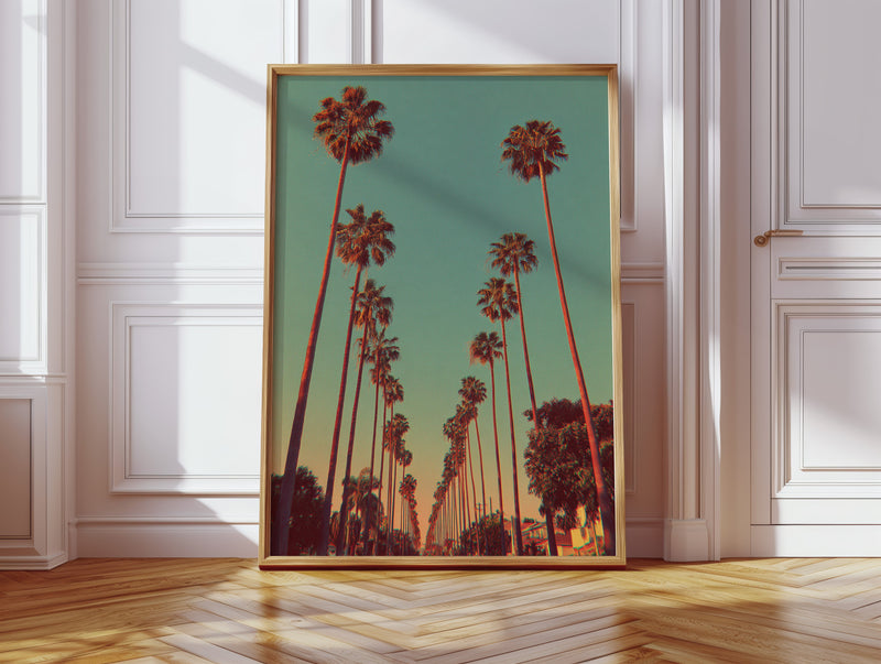 Avenue of Golden Palms