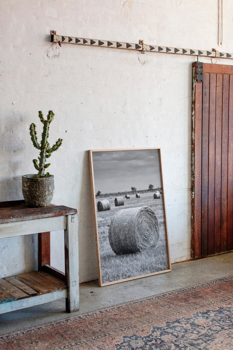 Harvested Echoes of Summer