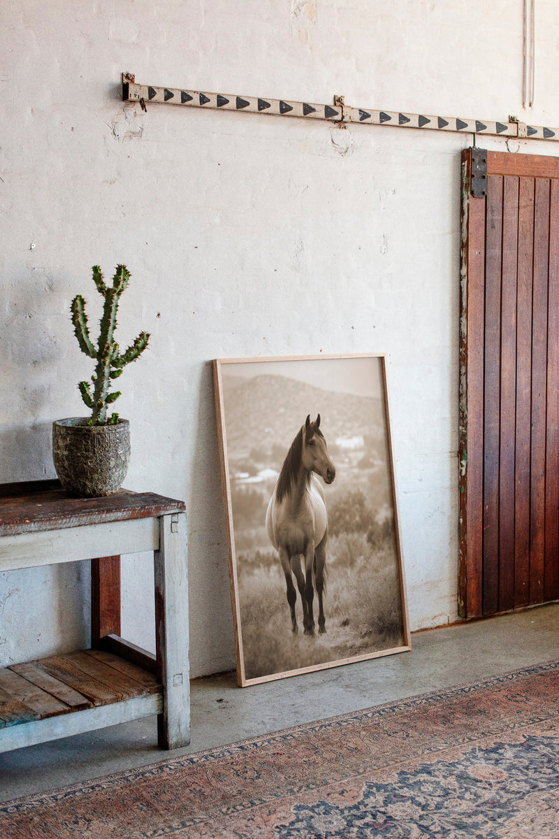 In the Embrace of Distant Hills