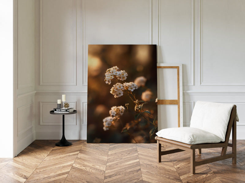 In the Glow of Petal Promises