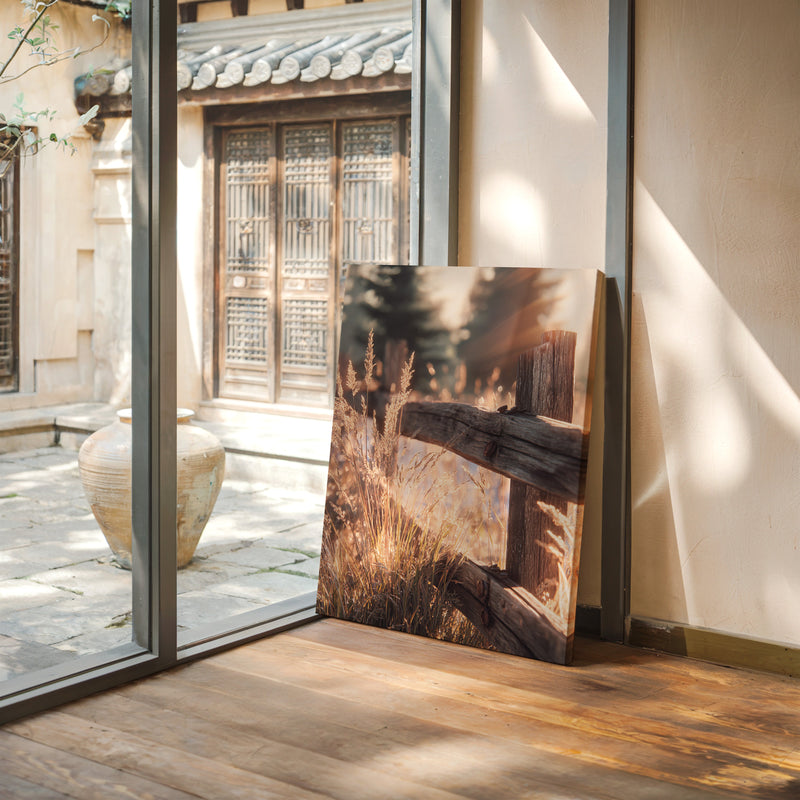 Golden Light on Weathered Wood