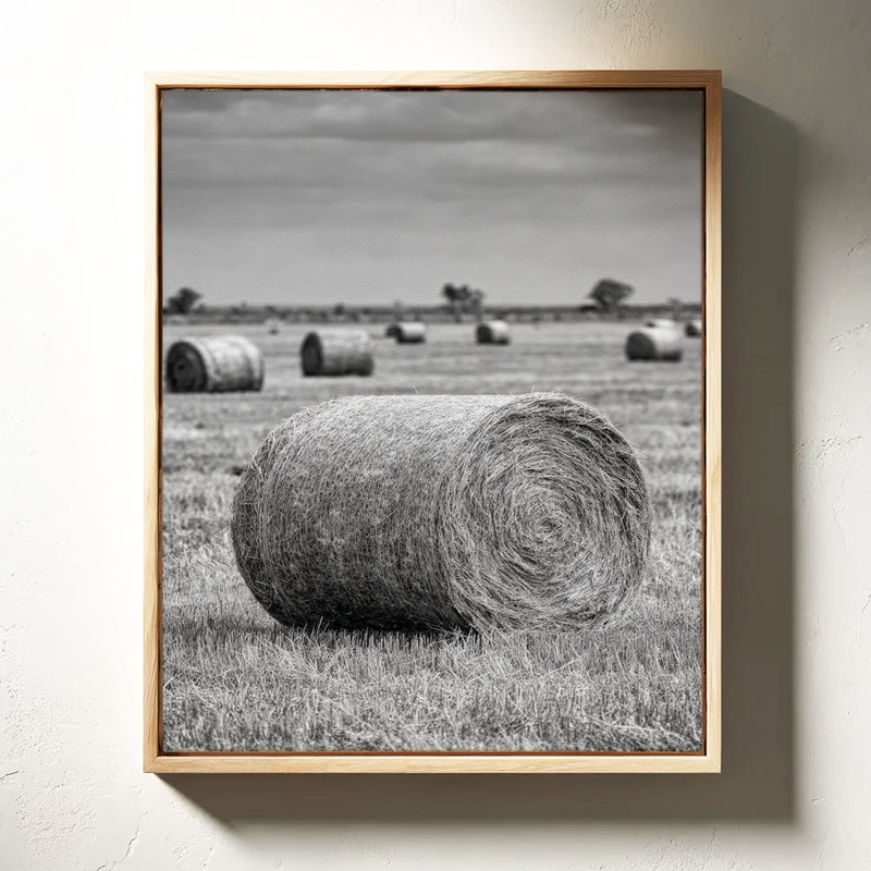 Harvested Echoes of Summer