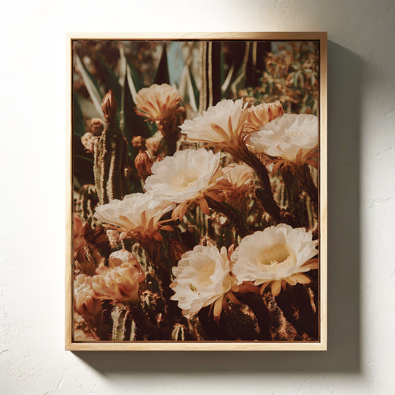 Eloquent Blooms Beneath the Sun