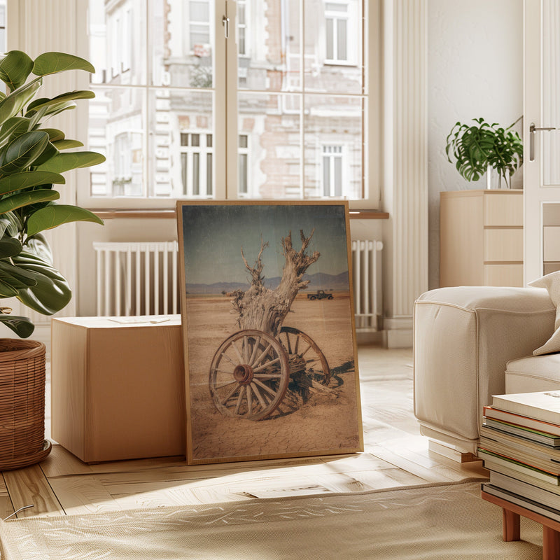 Roots of Forgotten Journeys