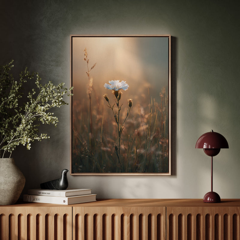 A Single Bloom In Sunrise's Embrace