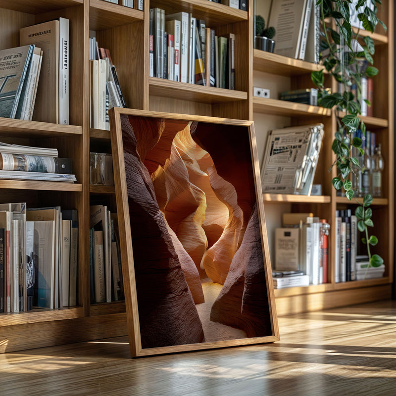 The Canyon's Golden Embrace