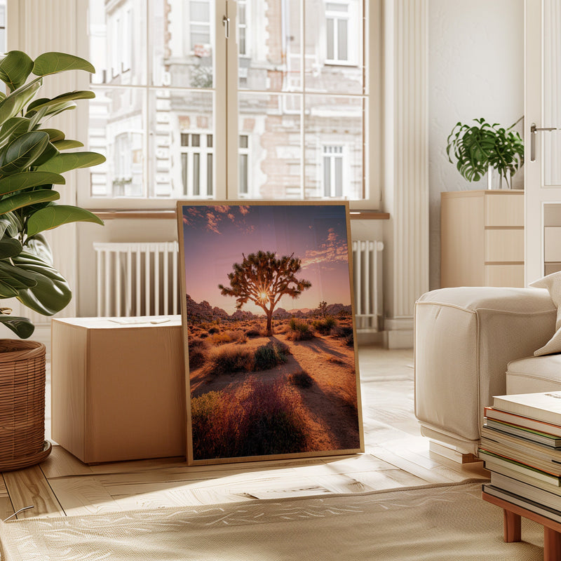 The Sun's Embrace on Desert Sage