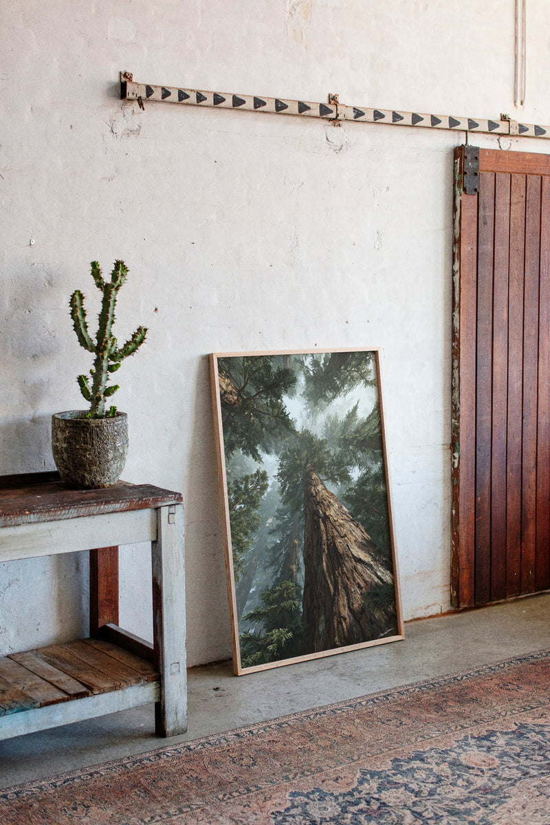 Beneath the Whispering Giants