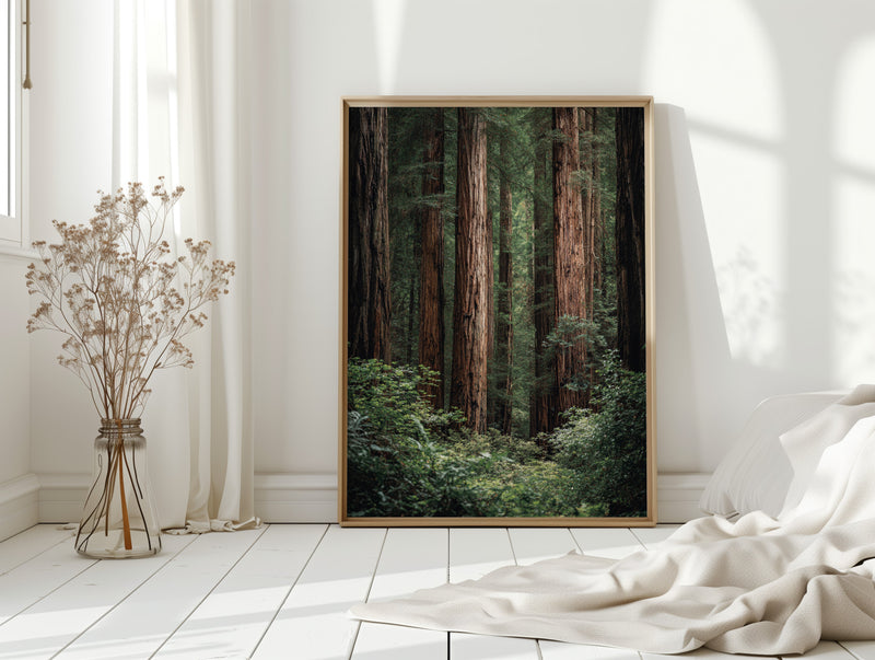 Beneath Ancient Canopy