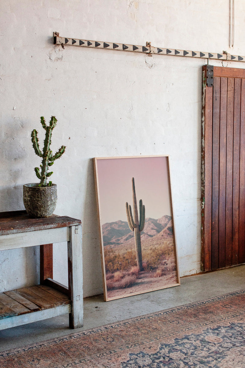 Beneath the Endless Desert Sky